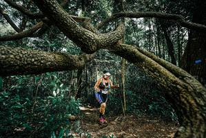 BIB: 
                            <button type="button" onclick="openModal(25705452)" class="btn btn-primary btn-sm float-right btn-popup" data-toggle="modal" data-target=".modal-high-quality">
                        <i class="fas fa-shopping-cart"></i> Add to Cart
                    </button>
                                            <button type="button" onclick="isThisMe(25705452, true)" class="btn btn-success btn-sm float-right btn-popup btn-isme hidden" data-toggle="tooltip" data-placement="bottom" title="นี่คือรูปของคุณใช่ไหม คลิกที่นี่เพื่อเอาเข้าอัลบั้ม">
                        <i class="fas fa-plus"></i> Add to album
                    </button>
                    <button type="button" onclick="isThisMe(25705452, false)" class="btn btn-warning btn-sm float-right btn-popup btn-isnotme hidden">
                        <i class="fas fa-ban"></i> Remove from album
                    </button>